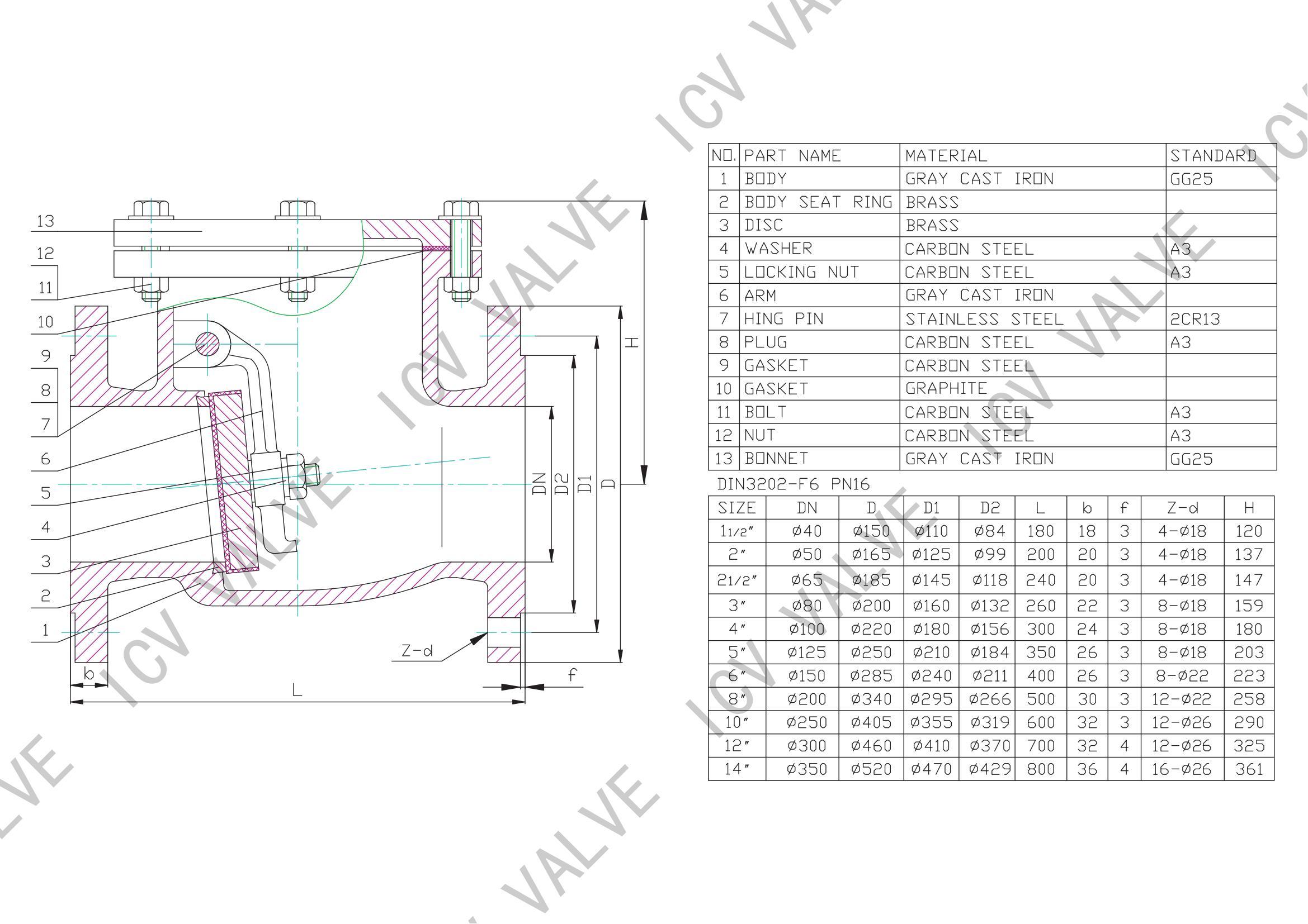 ICV VALVE - Custom Cast Iron Flange Swing Check Valve