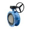 Custom Ductile Iron Double Flange Butterfly Valve For Water
