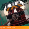 36 inch lug butterfly valve torque test
