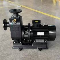 Centrifugal Self-Priming Pump
