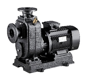Centrifugal Self-priming pump