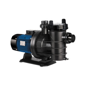 Manufacturer 0.75KW Pool Pumps for In/Above Ground | 5550GPH 1.5inch Inlet/Outlet 220/380V 50Hz Single Speed