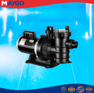 1.2 Horsepower China Swimming Pool Pump for In Ground