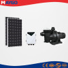 Piscina solar personalizada Pump3 Phase DC 500w para uso doméstico, comercial, juegos, SPA | Sistema de bomba de piscina solar
