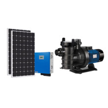 How to Choose a Solar Pool Pump?