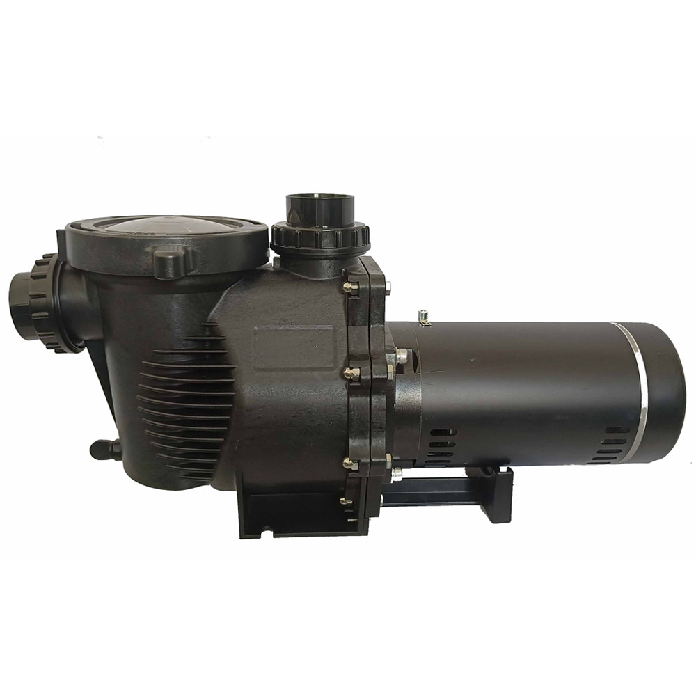 2023 New Arrival NSL 60Hz 1.5HP Single Speed Swimming Pool Pump for ...