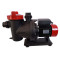 Factory Price New Arrival 50Hz 0.5HP Swimming Pool Pump for In/Above Ground Pool | ECAS SASO Certified 2 Years Warranty