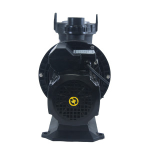 Factory Price New Arrival 50Hz 1.0HP NSM-Max Swimming Pool Pump for In/Above Ground Pool