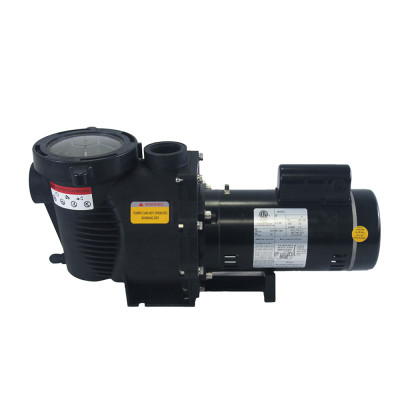 New Arrival NSL Max 60Hz 4.0HP Single Speed Swimming Pool Pump for Inground | USA Standard ETL UL 2 Years Warranty
