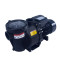 Factory Price New Arrival NSL Black 50Hz 1.0HP Swimming Pool Pump for In/Above Ground Pool | ECAS SASO Certified 2 Years Warranty