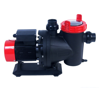 Factory Price New Arrival NSE Red 50Hz 2.0HP 2 inch Swimming Pool Pump for In/Above Ground Pool | ECAS SASO Certified 2 Years Warranty