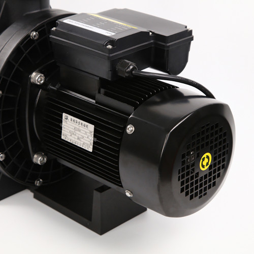 50Hz New Pool Pumps Above Ground,27m3/h,1500W with CE ISO RoHS TUV (Black)