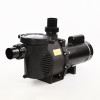600LPM NEMA Swimming Pool Pumps, Commercial Pool Filtration Pump with 2inch NPT,60Hz,ODP motor