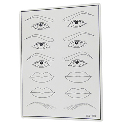 Pmu private label practice skin micropigmentation Eyebrows eyeliners and lips mixed pmu practice skin cosmetic practice supplies