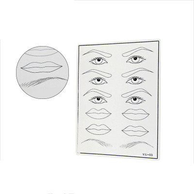 Pmu private label practice skin micropigmentation Eyebrows eyeliners and lips mixed pmu practice skin cosmetic practice supplies