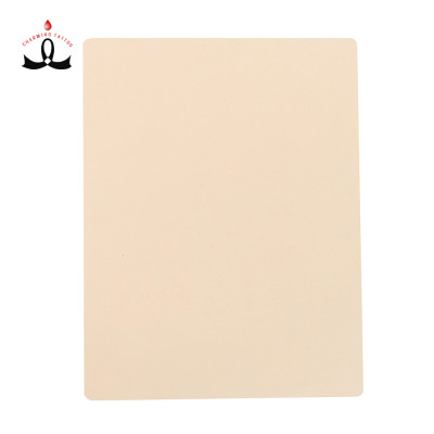 Tattoo fake skin pmu practice skin Silicone Permanent Makeup Latex With Eyebrows Lips