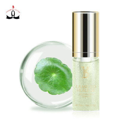Facial Serum Tattoo Accessories Micro Beads Repair Advanced Centella Serum Repair Agent for Permanent Makeup