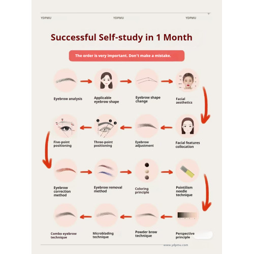 Learn Microblading in One Month: A Beginner's Guide to Success