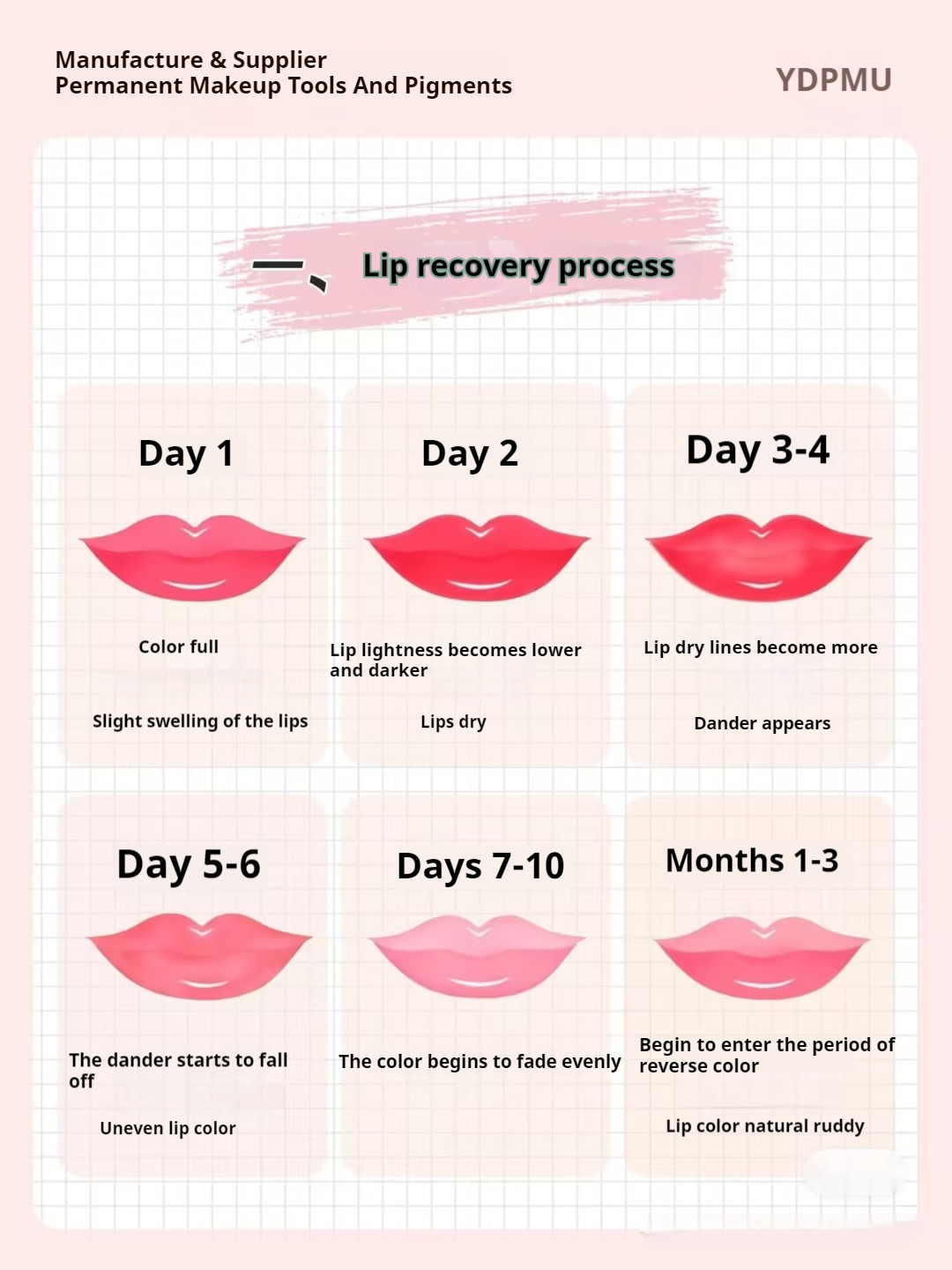 The Lip-tastic Guide: Understanding the Healing Process of Permanent Makeup Lips