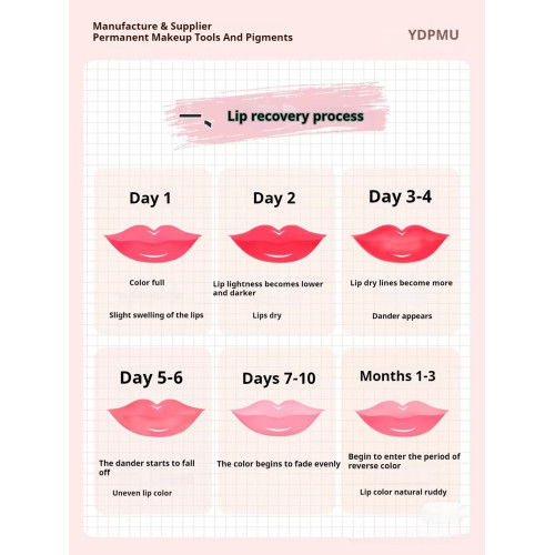 The Lip-tastic Guide: Understanding the Healing Process of Permanent Makeup Lips