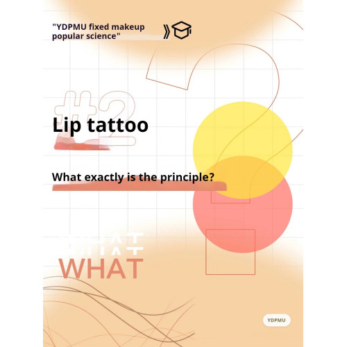 Deciphering the Secrets of Lip Tattoo: Understanding the Principles Behind Perfect Pouts