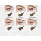 CharmingTattoo PMU Manufacture | Stable Color System Cream Eyebrow Pigments for Microblading Professionals