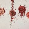 PMU Pigment Brands Overview: A Comprehensive Guide to Industry Leaders