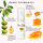 Face Deep Lip Aftercare Cream – Nourishing and Protective Post-Tattoo & Microblading Solution, 5G