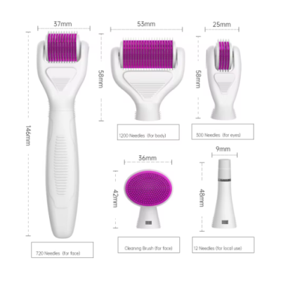 6 in 1 Microneedle Derma Roller Kit for Face Eye Body 300/720/1200 Rolling System Microneedling Facial Roller Beauty Care Tool
