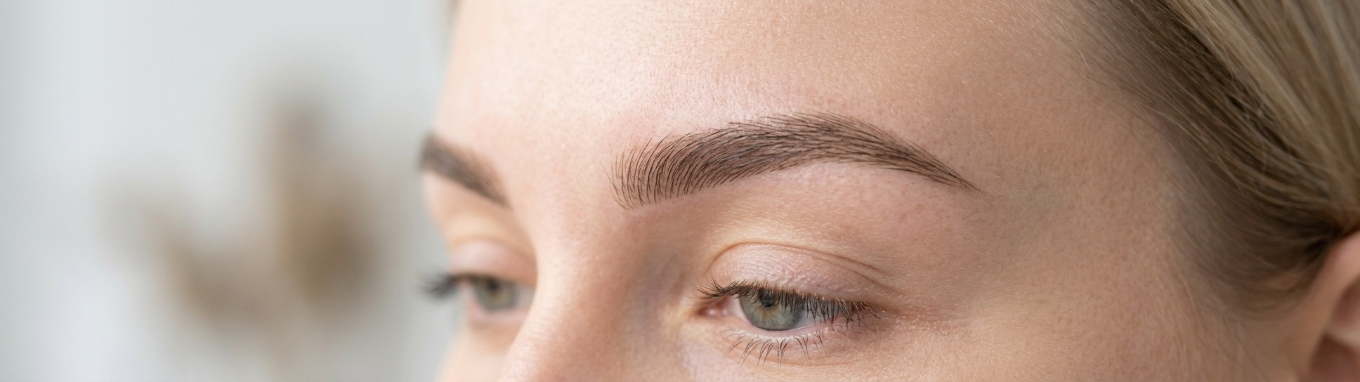 Nano Brows technique with PMU pigment