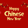 You have a New Year's greeting letter from CAMIZ KIDS, please check it!