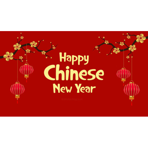 You have a New Year's greeting letter from CAMIZ KIDS, please check it!