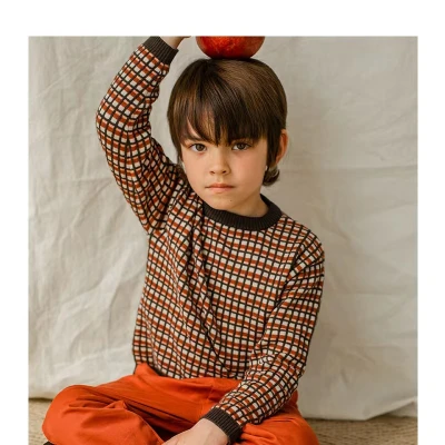 Wholesale Cute Kids Boy High Quality BCI Cotton Cashmere Crew Neck Sweaters By Chinese Factory