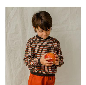 Wholesale Cute Kids Boy High Quality BCI Cotton Cashmere Crew Neck Sweaters By Chinese Factory