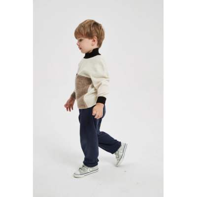 Chinese Wholesale High Quality Boy's Turtleneck Pure Cashmere Pullover Sweater In Multi Colors