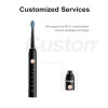 Electronic Toothbrush china Dylin Electronic Toothbrush Long Endurance manufacturer Dylin