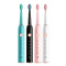 2021 Cheap Rechargeable Product Battery Teeth Cleaning Electric Toothbrush