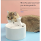 Le Chong Ceramic Circulating Offering Automatic Feeding Pet Water Feeder