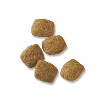 Health dog Calcium tablet pet puppies + Wessels lecithin golden hair adult dog small dog Teddy dog calcium tablet