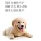 Japanese Disposable Pet Urine Pad Hot Selling Durable Cheap Price Pet Food