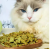 Hot Sale Dog Cat Pet Food For Pet Skin Health