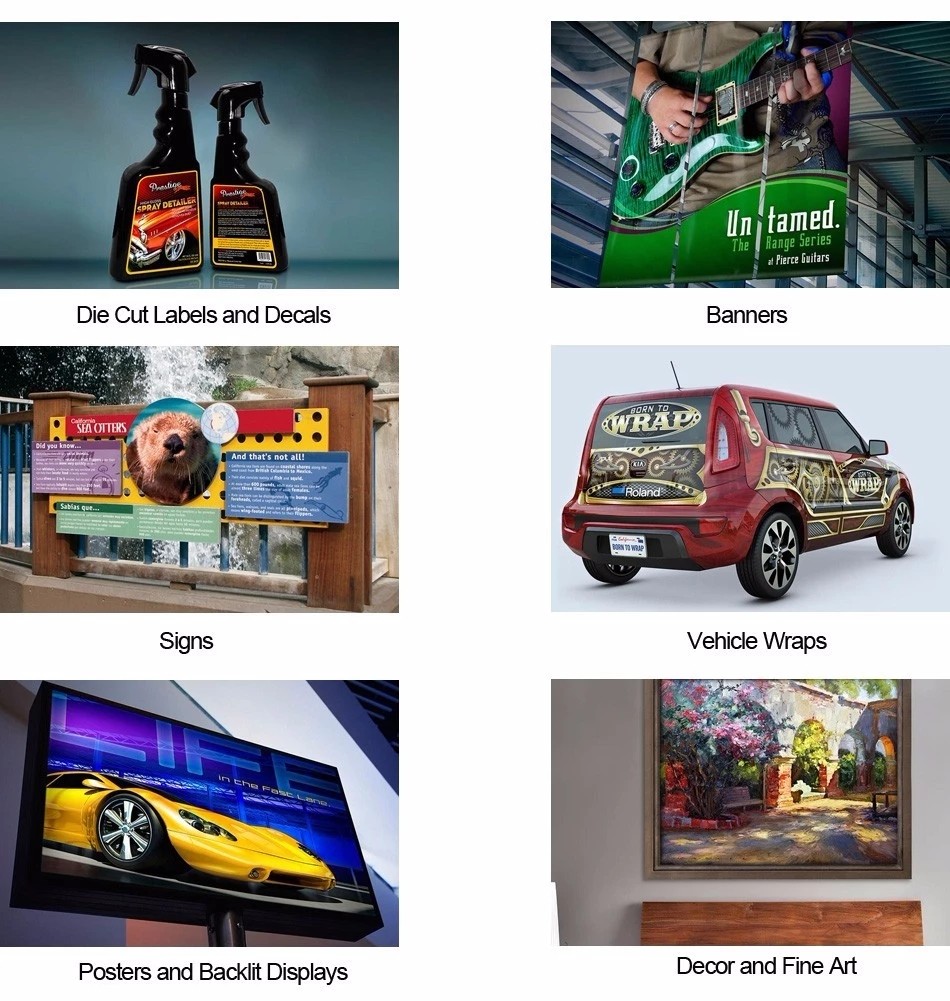FCOLOR Eco Solvent Ink