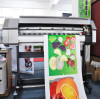 Environmental Solvent Printer Operation Problems and Solutions