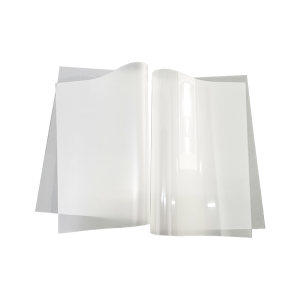 FCOLOR Cheap Good A4 A3 A3+ Cold Release Heat Transfer PET Film for DTF Film Printer 30CM 60CM | Consumable manufacturer