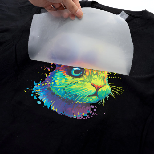 DTF vs. Dye Sublimation - Which Printing Option Is Better?