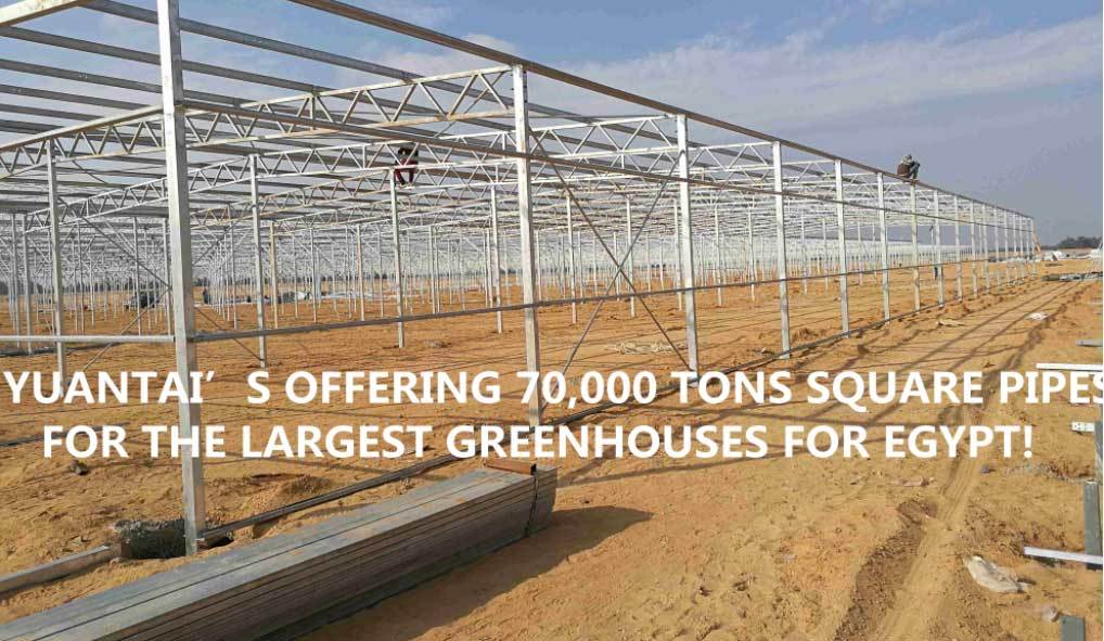 BIG NEWS!THE LARGEST GREENHOUSES PROJECT FOR EGYPT!