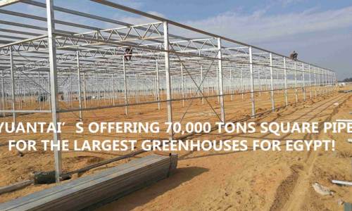 BIG NEWS!THE LARGEST GREENHOUSES PROJECT FOR EGYPT!