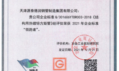 Enterprise standard in 2021 List of "leaders"