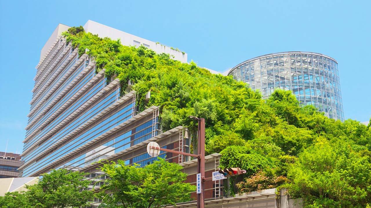 Do you know the importance of LEED certification in modern architecture?