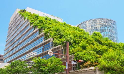 Do you know the importance of LEED certification in modern architecture?